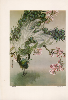 Vanity, peacock and cherry blossoms vintage Japanese, Chinese, Asian-themed print